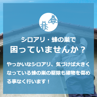シロアリ・蜂の巣で困っていませんか？ やっかいなシロアリ、気づけば大きくなっている蜂の巣の駆除も建物を傷める事なく行います！