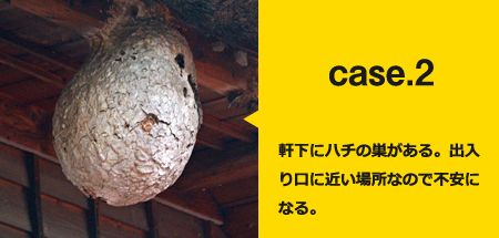 軒下にハチの巣がある。出入り口に近い場所なので不安になる。